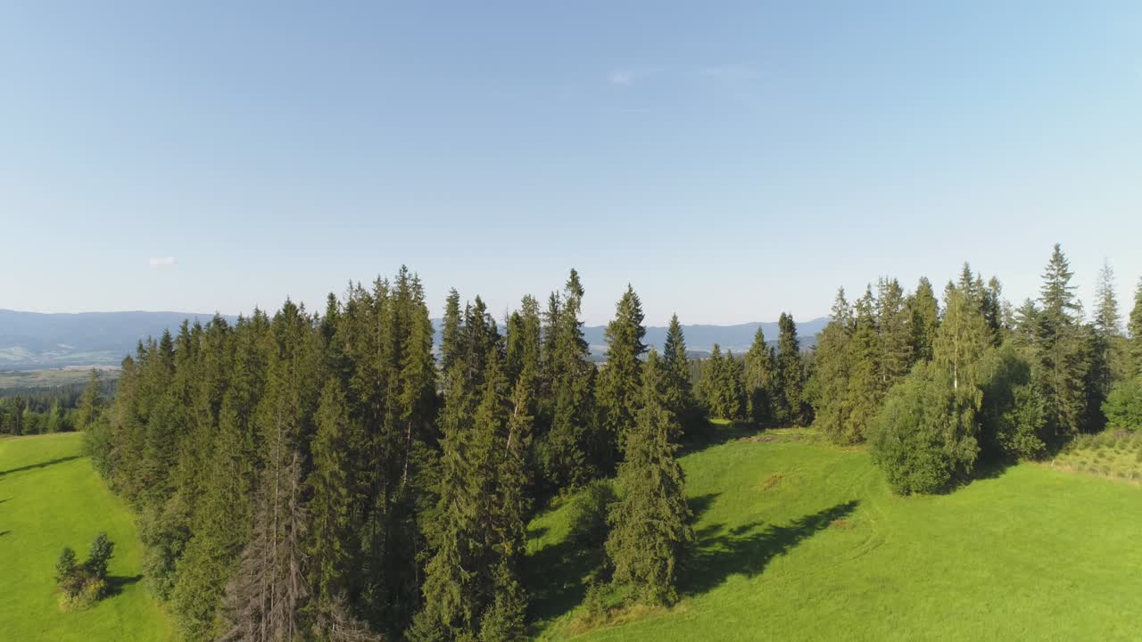 아름다운 숲 나무 풍경 파노라마 6 이상의 비행