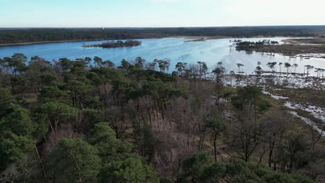 Kalmthoudse-heide-panning-over-woods-revealing-wetlands-with-blue-skies