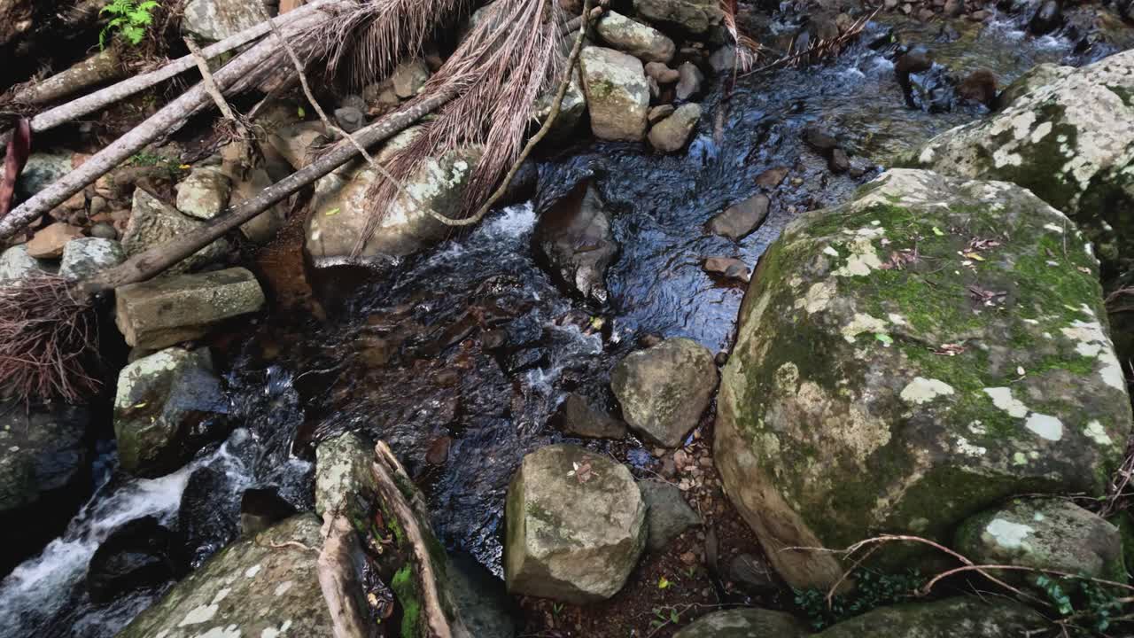 A stream flows over rocks in a forest