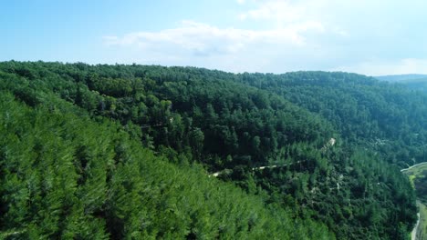 tiro de drone de un bosque en el norte de israel