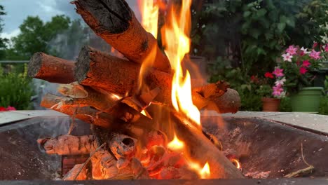 wood burning in a fire pit on a cloudy afternoon, close up