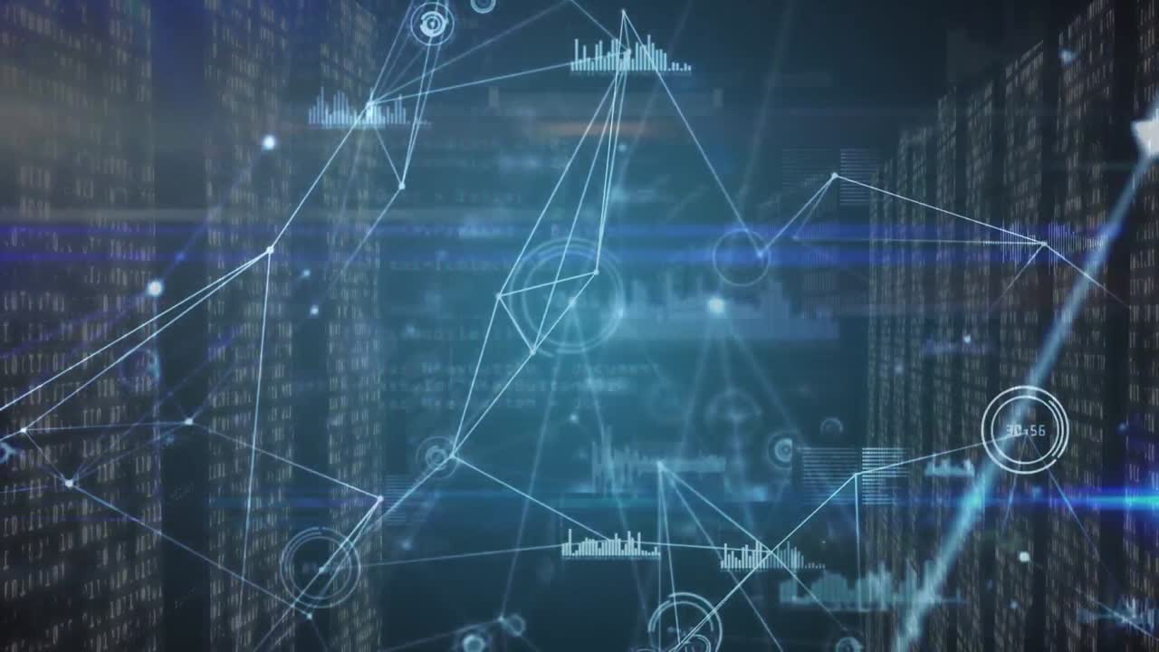 Animation of network of connections and diverse data over data processing in servers