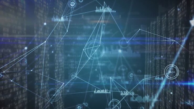 Animation of network of connections and diverse data over data processing in servers