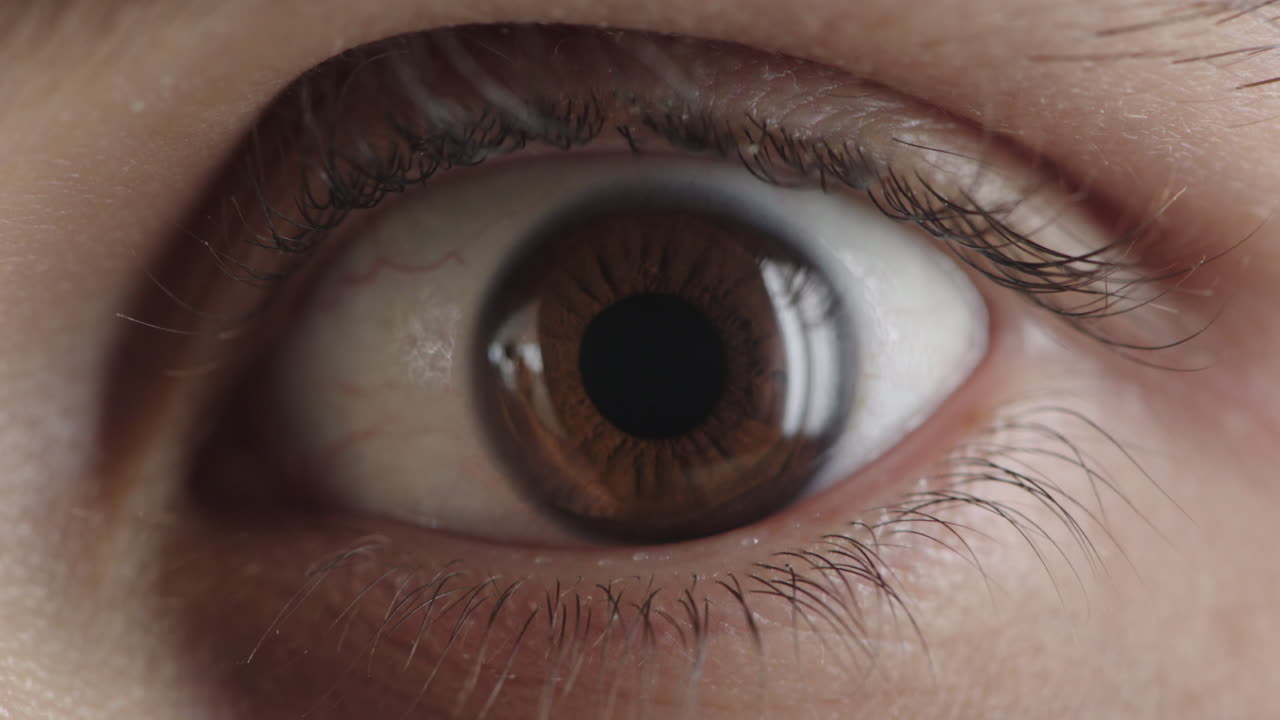 초상화 젊은 남자가 눈을 뜨고 놀랐고 충격을 받았고 두려운 감정으로 보입니다.