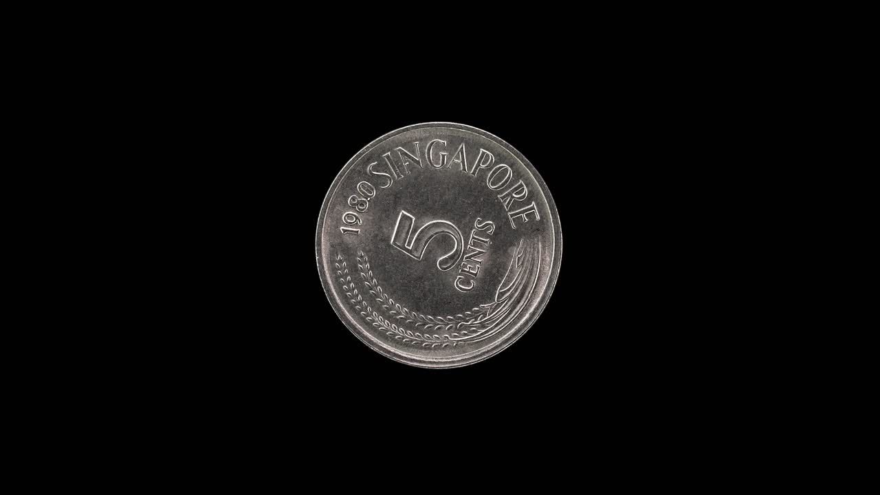 Singapore 5 cent 1980 coin reverse with grain design, macro loop on black background