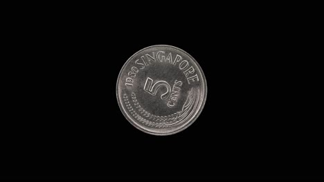 singapore 5 cent 1980 coin reverse with grain design, macro loop on black background