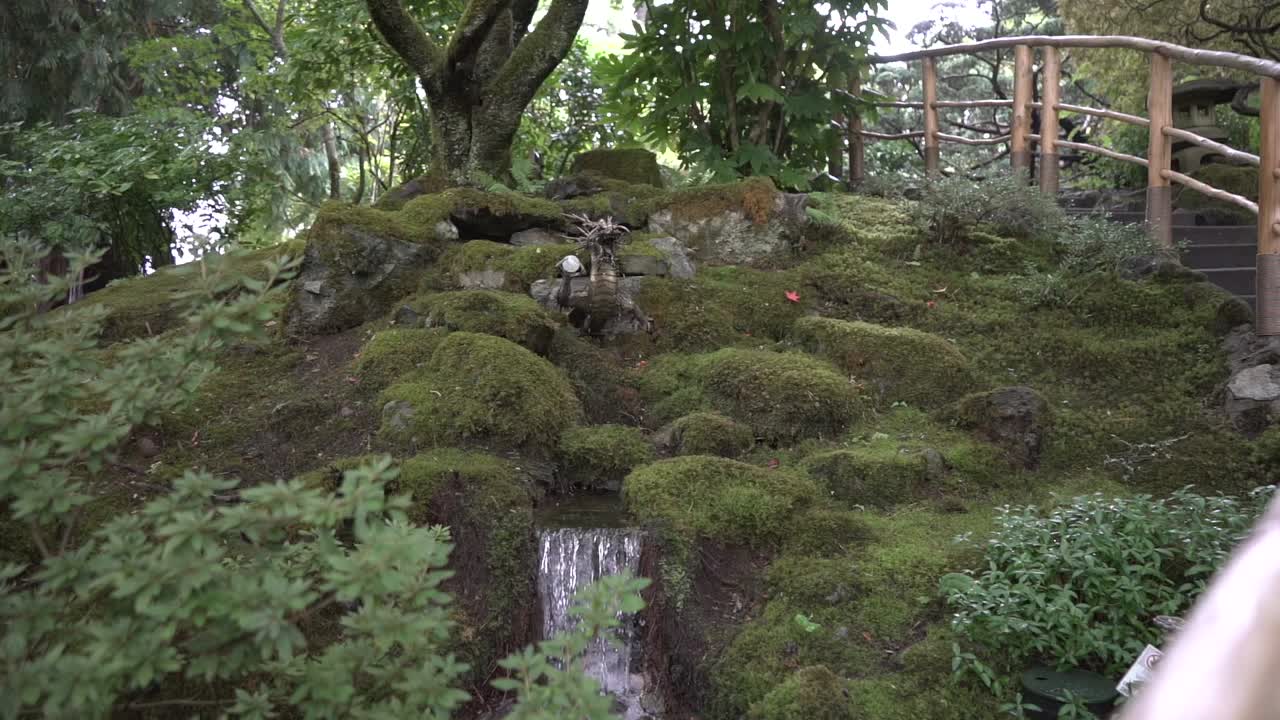 tiro de seguimiento de rocas cubiertas de musgo que rodean una cascada en miniatura en un jardín japonés