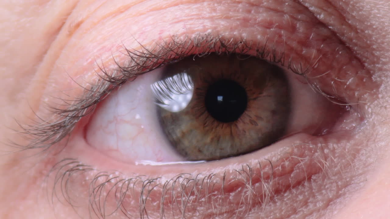 반사와 빛나는 여자 갈색 눈 공 근접 촬영 매크로 09