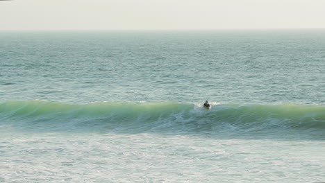 tourist surfer on huge waves of figueira da foz beach in coimbra district, portugal