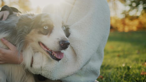 el dueño acaricia suavemente a su perro en el sol. se sienta al lado de una mascota en la hierba en el parque