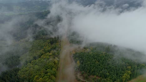 cable cars going up forested hills on a