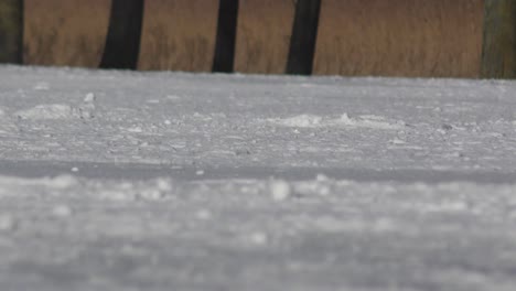 close-up shot of an ice rink with skater's feet passing by