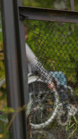 young woman with spinal cord injury moves in wheelchair behind old metal mesh fence of sanatorium. rehabilitation after injury in medical facility side view