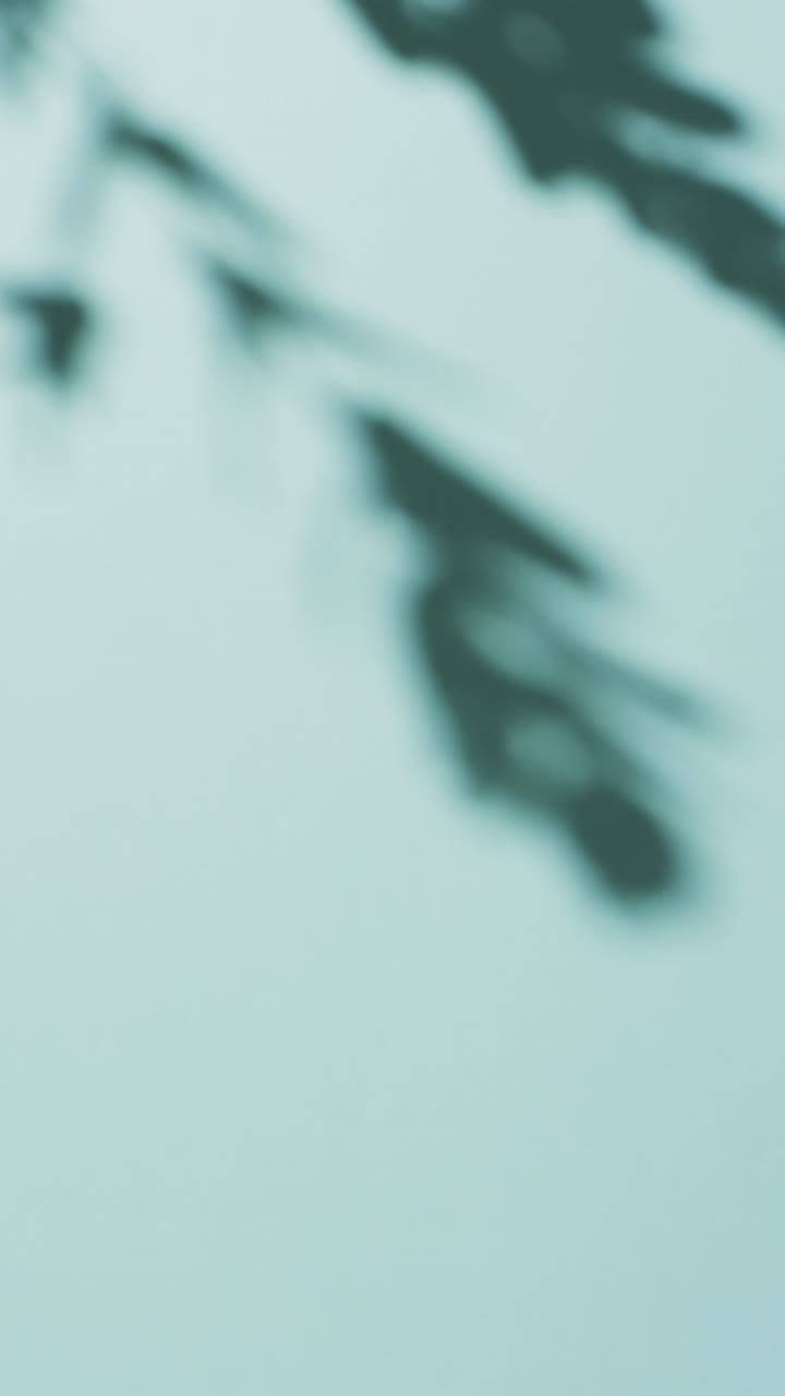 Vertical video of shadow of twigs with leaves moving with copy space over blue background