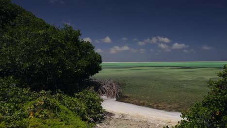 Las-Salinas-Rosadas-Y-Verdes-Y-Los-Lagos-De-Bonaire