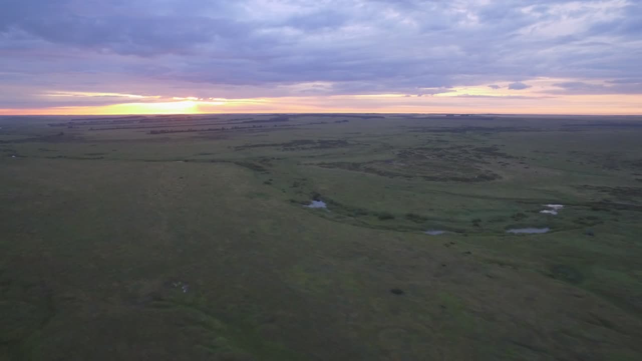 vista aérea de un paisaje de hierba al atardecer