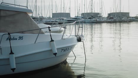 calm harbor with docked yachts, spain