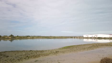 Man-Bird-Watching-with-Binoculars,-Pan-Left-to-Flamingos-in-Marshes