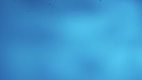 shiny air bubbles rising up in the water column shiny air bubbles rising up in the water column of the reservoir freshness of a clear blue liquid poured into container transparent blue aqua with light glare close up filming of liquid through the glass of an aquarium or tank