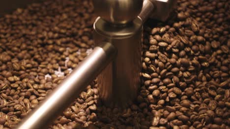 coffee is mixed at the end of the roast, the beans are lightly roasted. filmed close up in 50fps. you can see the individual beans tumbling.