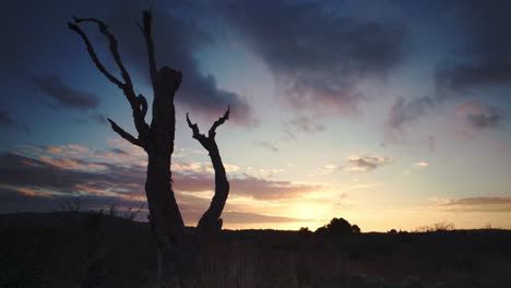 Zeitraffer-Eines-Toten-Baumes-Mitten-Im-Nirgendwo-Bei-Sonnenuntergang