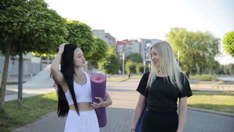 Young Fit Athletic Women in Sportswear go to Fitness Training in the City Park Young Fit Athletic Women in Sportswear go to Fitness Training in the City Park