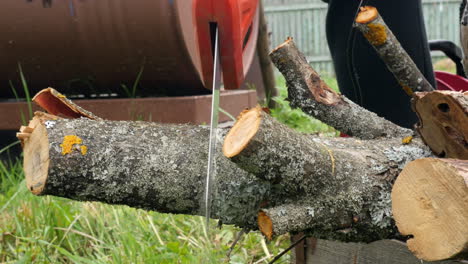 Lumberjack-Working-With-Saw