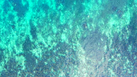 beautiful colorful abstract sea texture with coral reefs and pebbles under turquoise water of calm lagoon in bahamas