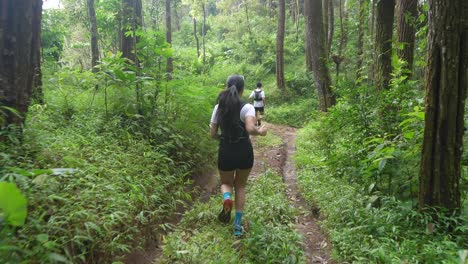 runners on a trail in a forest