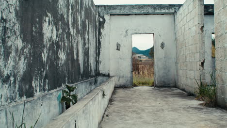 abandoned-roofless-cement-structure-in-a-field-of-serrated-tussock-grass-static-detail-shot