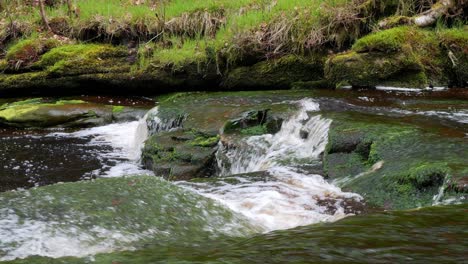 Slow-moving-forest-stream-waterfall,-nature's-serenity-scene-with-tranquil-pool-below,-lush-greenery-and-moss-covered-stones,-sense-of-peacefulness-and-untouched-beauty-of-nature-in-forest-ecosystem