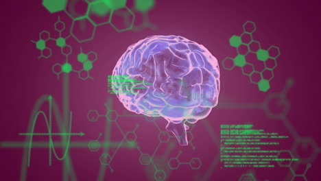 animación del cerebro humano y procesamiento de datos científicos.