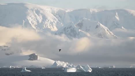 Antarctica-coastline-with-cloud-layer-looking-very-nice-and-beautiful,-snow-ice-and-bergs