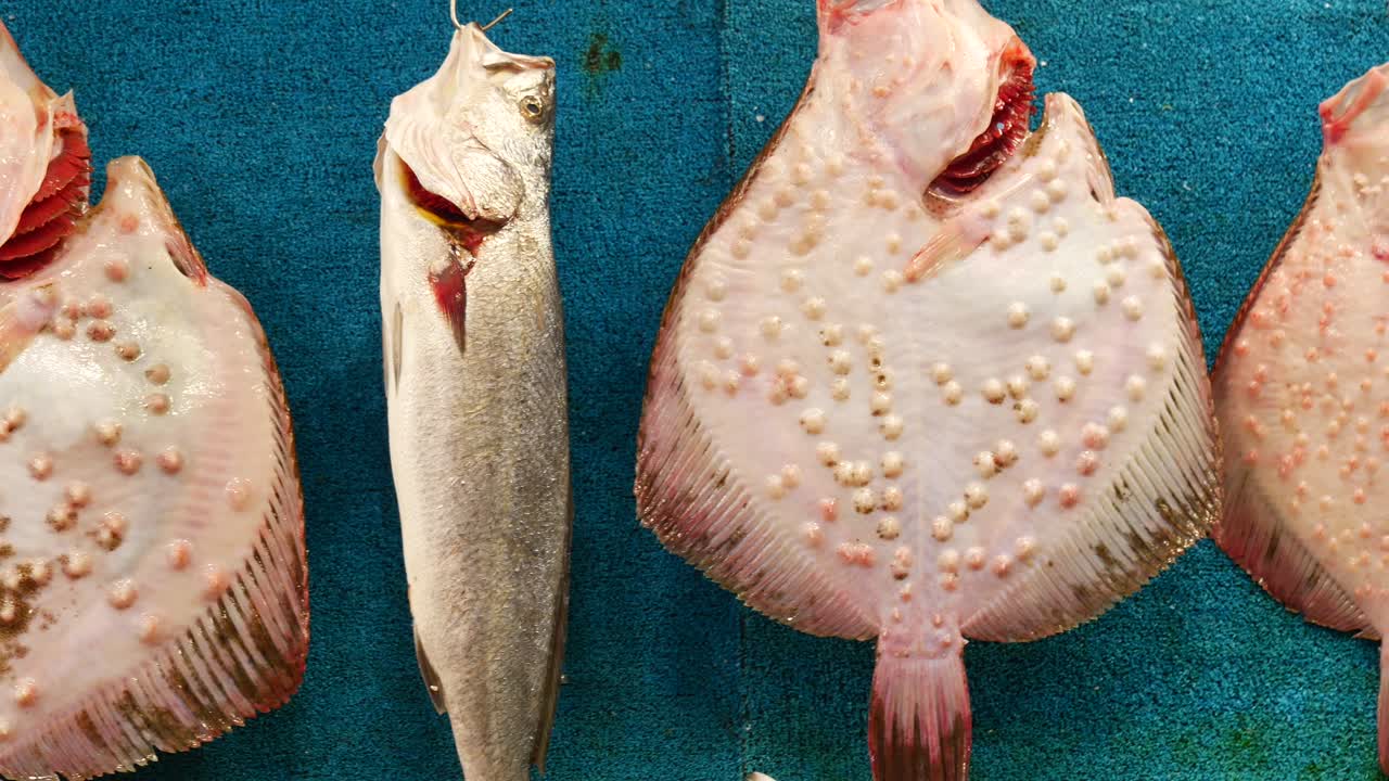 pescado fresco en el mercado