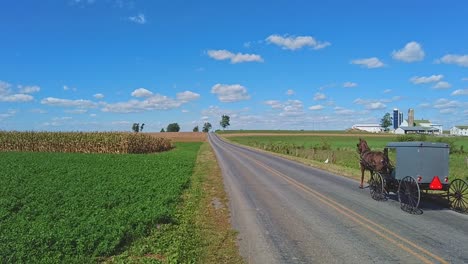 un caballo amish y un buggy trotando por un camino rural, en cámara lenta, en un hermoso día soleado