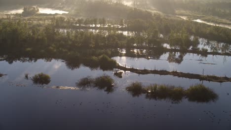 Flooded-farmlands-of-Netherlands-with-reed-and-marshes,-aerial-cinematic-view