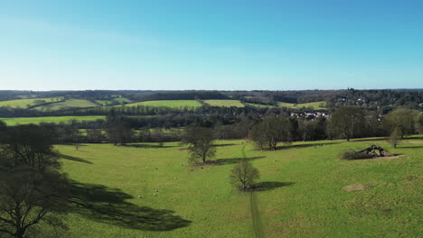 Vista-Aérea-De-Un-Campo-De-Ovejas,-Bosques-Y-Una-Iglesia-En-Gran-Missenden