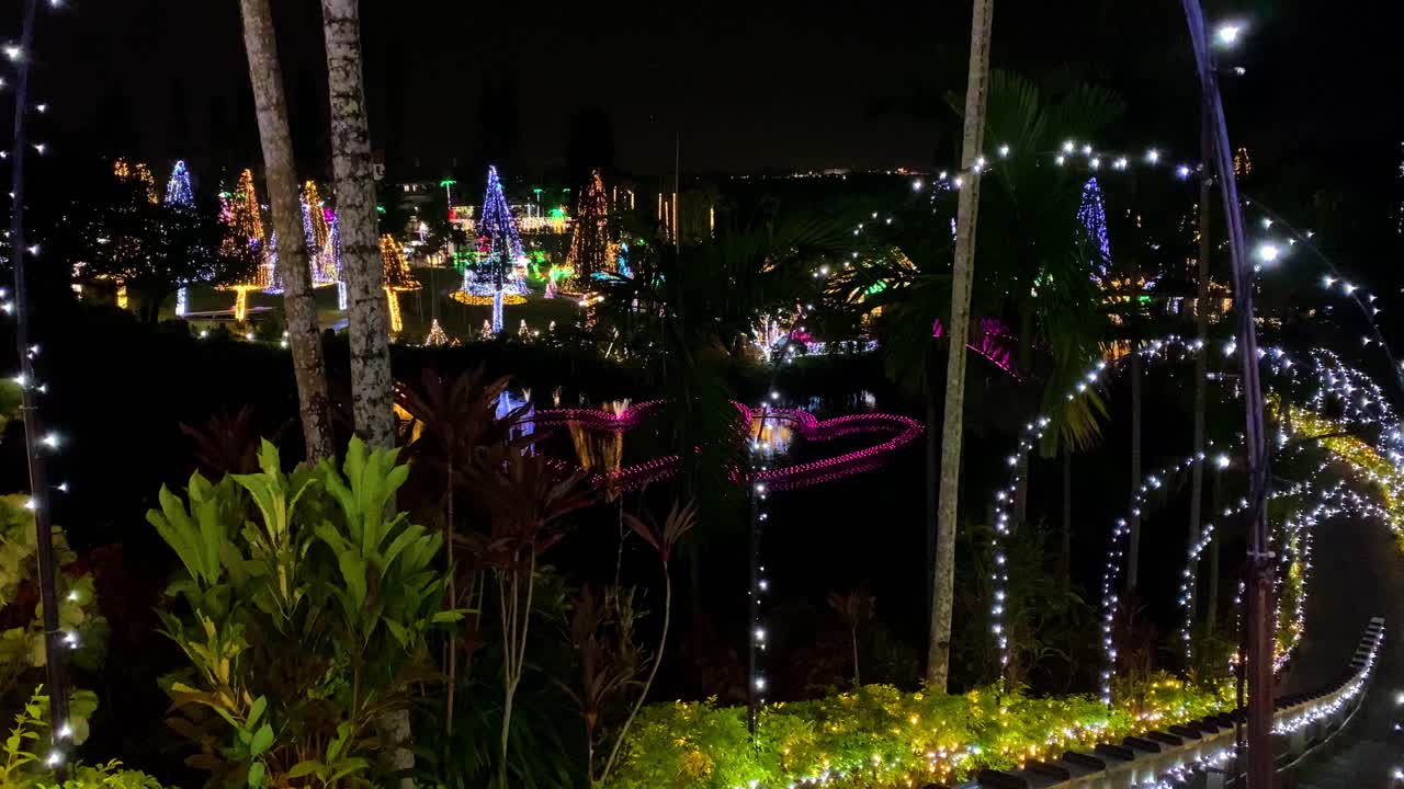 4khd 크리스마스 2020 식물원 오키나와 일본-21