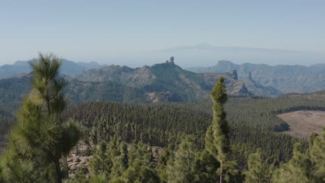 Wunderschöne-Drohnenaufnahme-Eines-Bergpanoramas-Mit-Wald-Vom-Pico-De-Las-Nieves-Bis-Zum-Roque-Nublo,-Gran-Canaria