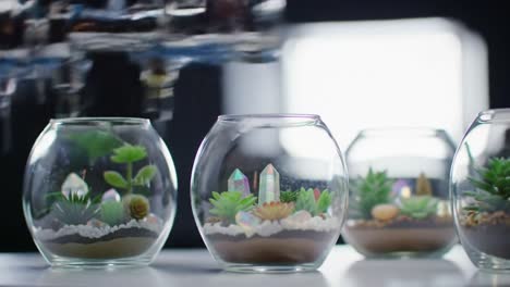 various glass bowls contain beautifully crafted miniature gardens filled with vibrant plants and decorative crystals. the arrangements highlight artistic landscaping and creative design techniques.
