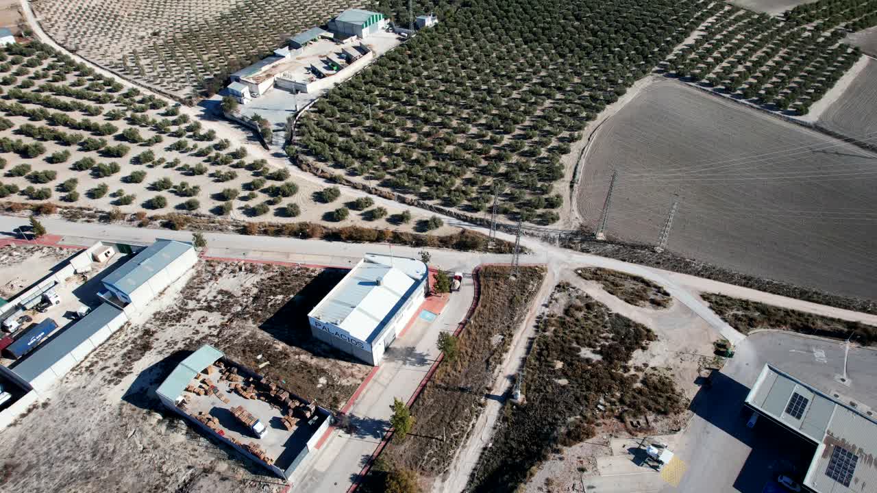 오버헤드 드론 클립 산업 올리브 농장에서 새의 눈으로 위로 파닝