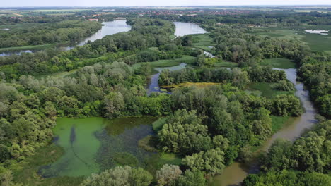 fliegen über die sumpfartige landschaft des flusses tisza in ungarn