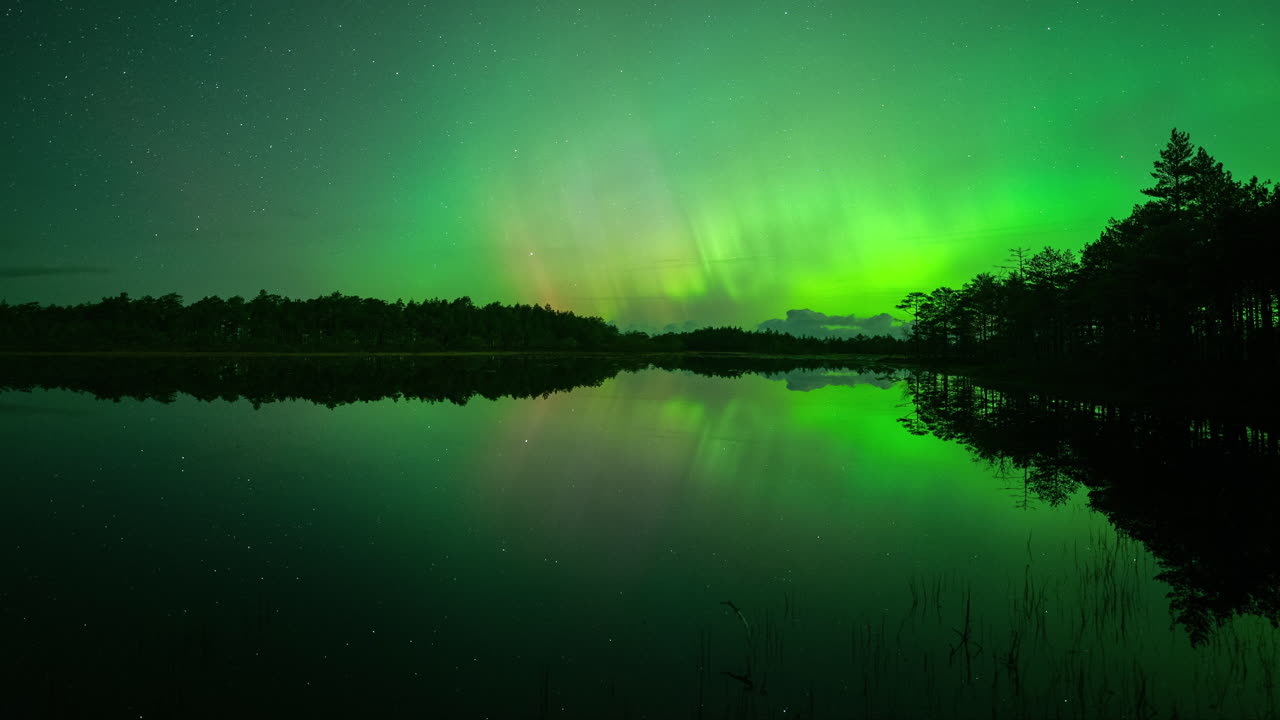 Northern lights over a lake in Estonia, bright green auroras reflected on the water surface, streaks of red and purple grow in the sky with stars