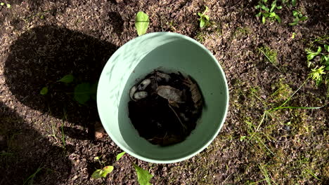 Wide-to-close-top-shot-of-a-green-bucket-filled-with-dark-soil-and-white-maggots