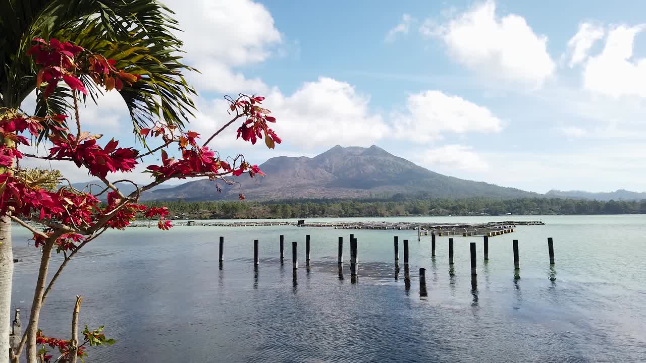 mañana silenciosa limpia cielo azul montaña con vista al antiguo lago y flores rojas en el monte batur kintamani bali sudeste asiático