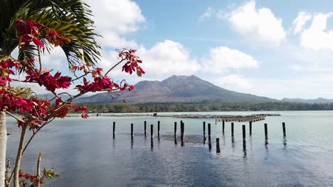 stiller morgen sauberer blauer himmel berg mit altem seeblick und roten blumen am berg batur kintamani bali südostasien