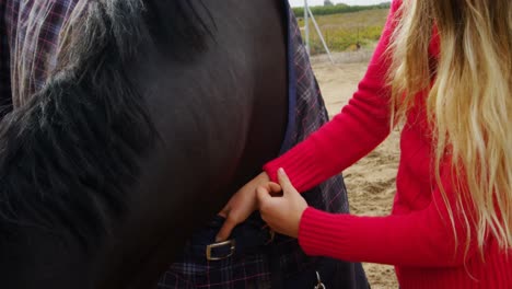 woman adjusting belt of horse rug 4k