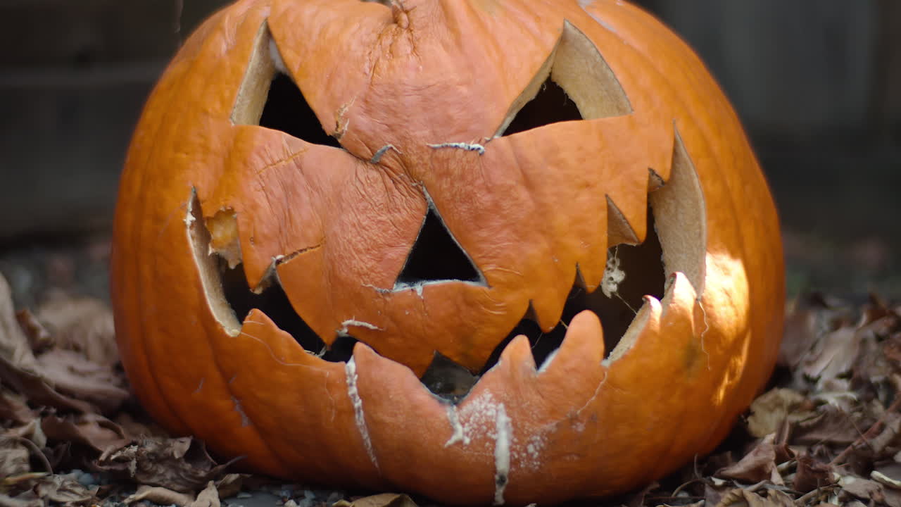 primer lapso de tiempo de una jack-o-lantern mientras se pudre