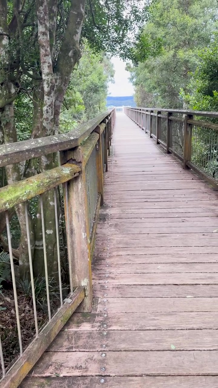 Smooth camera movement along forest boardwalk, passing a drone-free sign, under soft natural daylight