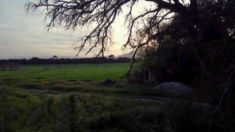 Fahren-Sie-Hinein,-Um-Ein-Offenes-Grünes-Feld-Mit-Blick-Auf-Den-Schönen-Berg-Am-Horizont-Und-Den-Sonnenuntergang-Im-Hintergrund-Zu-Betreten